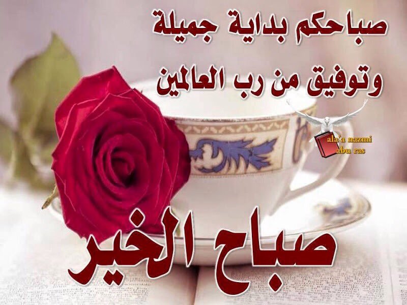 صور عن الصباح جديده - صباح جديد مختلف 1649 3