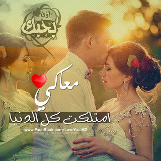 صور حب وغرام - الحب الذى لا ينتهى 1695 2