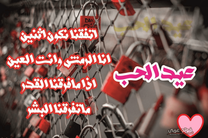 احلى الصور عيد الحب - اجمل الصور عيد الحب 11347 4