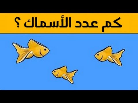 الغاز محلوله - شغل مخك شوية مع الالغاز 2480 4