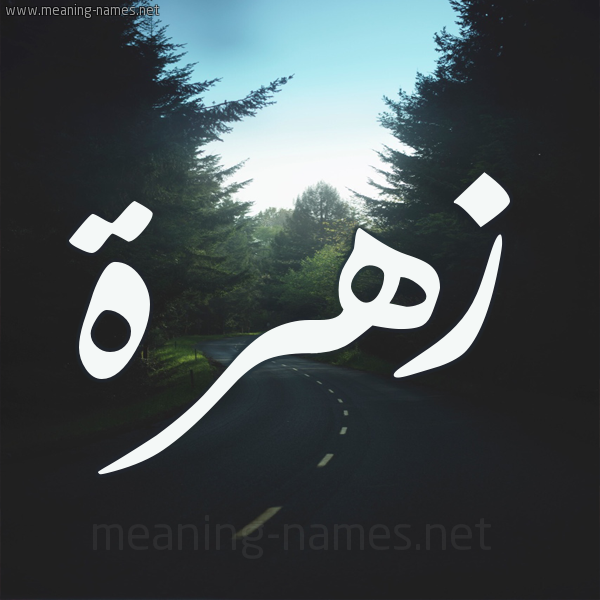 صور باسم زهرة - تصميم باسم زهرة رمزيات باسم زهرة تصميم باسماء بنات 4242 3