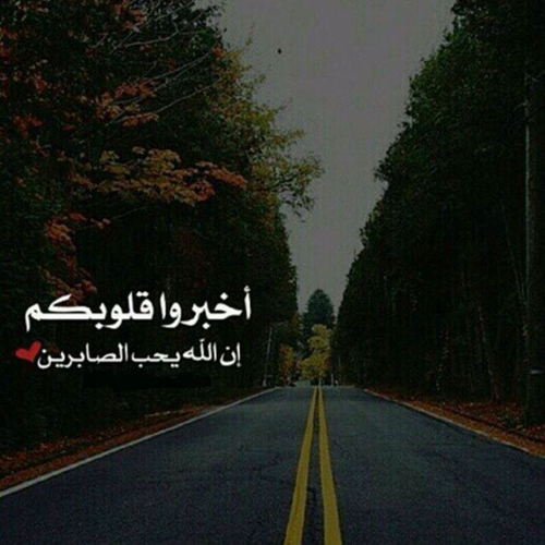 صور واتس - حالات وخلفيات للواتس اب 1839 10