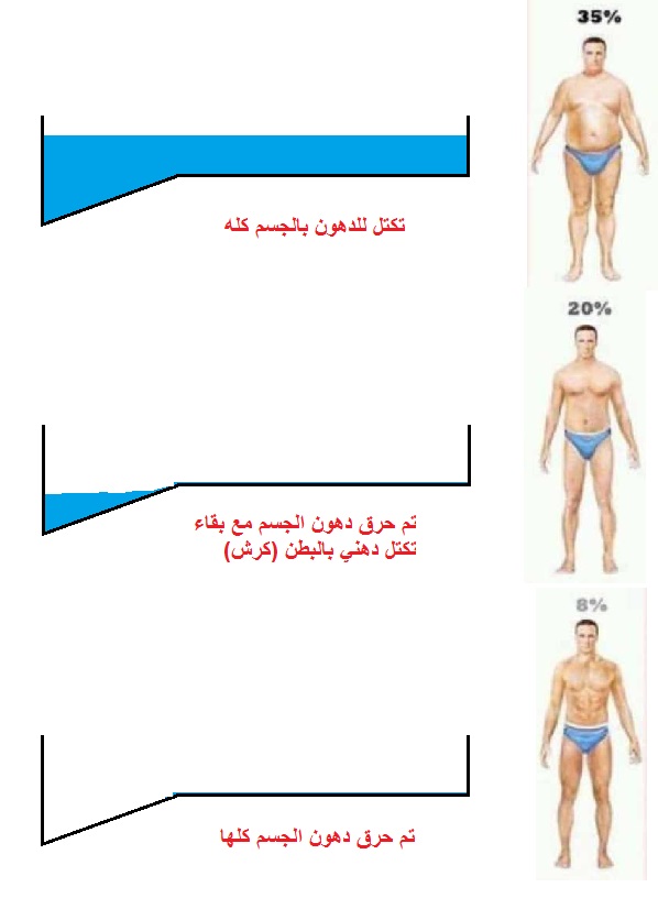 حرق دهون البطن والخصر بسرعة - كيفيه التخلص من سمنه الارداف والبطن 12147 1