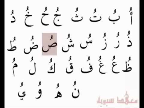 علامات التشكيل في اللغة العربية - ما هي علامات التشكيل في اللغة العربية 11405 2