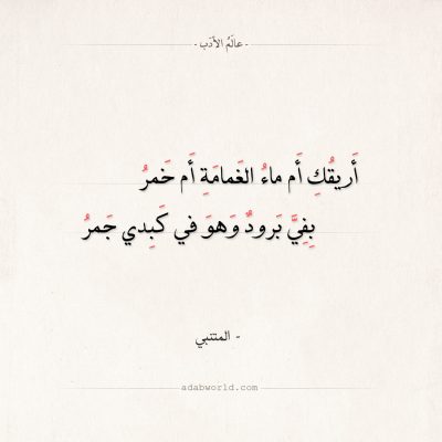 شعر المتنبي غزل - اجمل قصائد شعر الغزل 2052 1