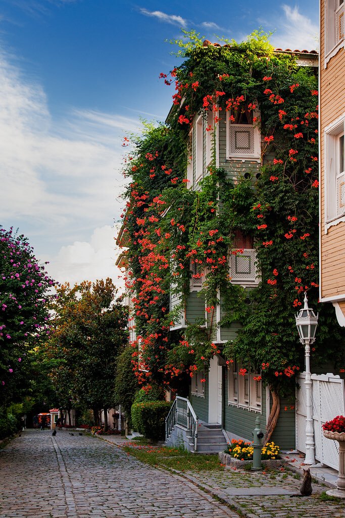 اجمل البيوت في تركيا بيوت بمناظر روعه اجمل الصور