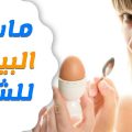 14158 3 فوائد صفار البيض للشعر - ماهي فوائد استخدام صفار البيض للشعر سعد